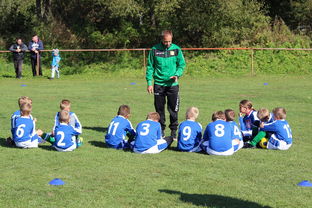 法甲球队防守战术调整后定位球防守成功率提升分析，法甲实力定位